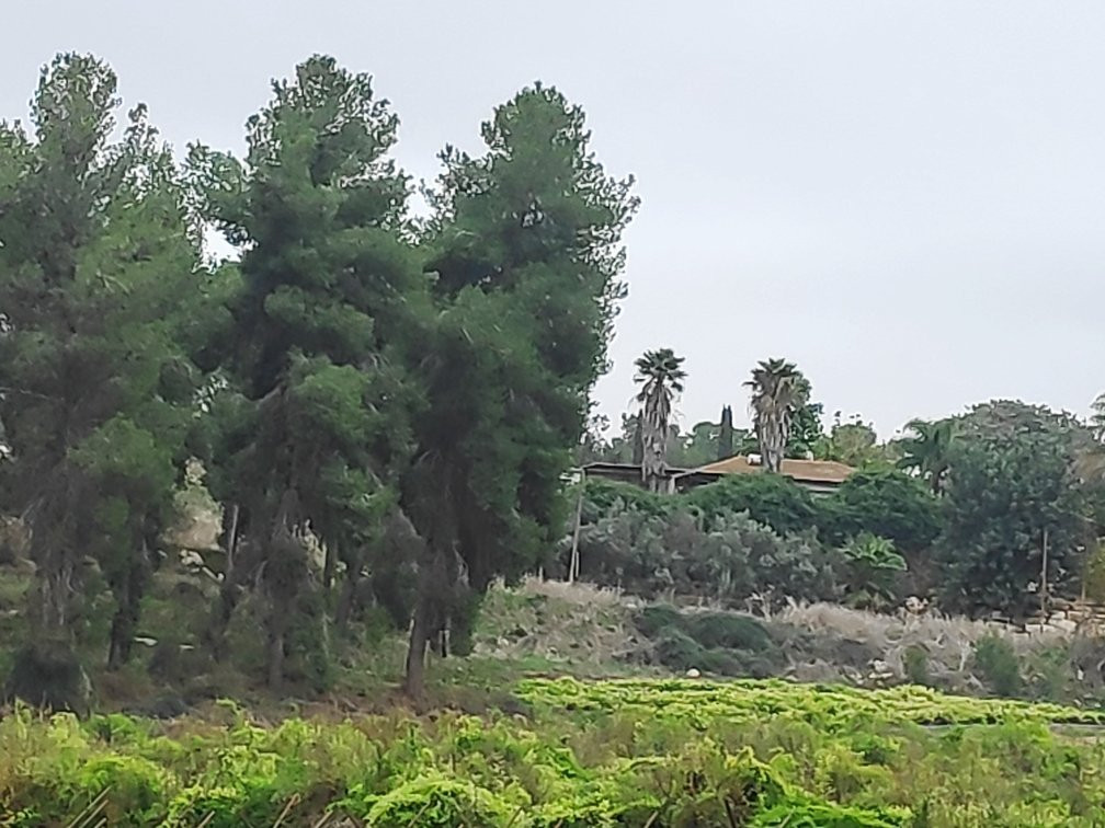 Tel Lachish-Lakhish必去景点