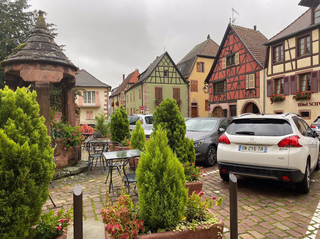 施瓦迪酒店主图