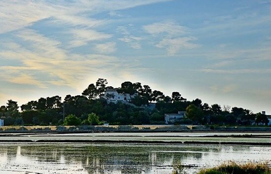 Muntanyeta dels Sants-Sueca必去景点