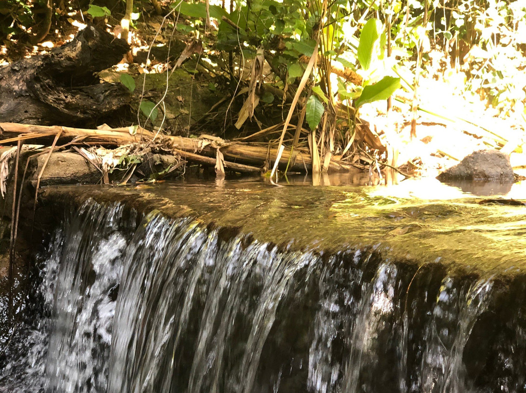 Bang Pae Waterfall景点图片