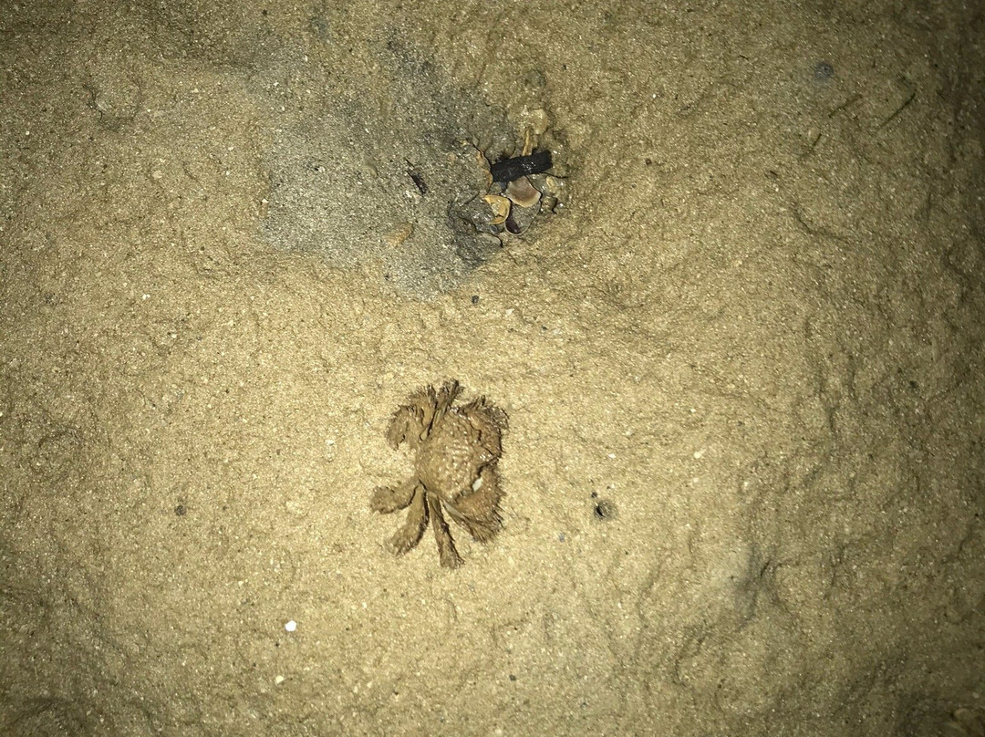 Morelo Water Resort主图