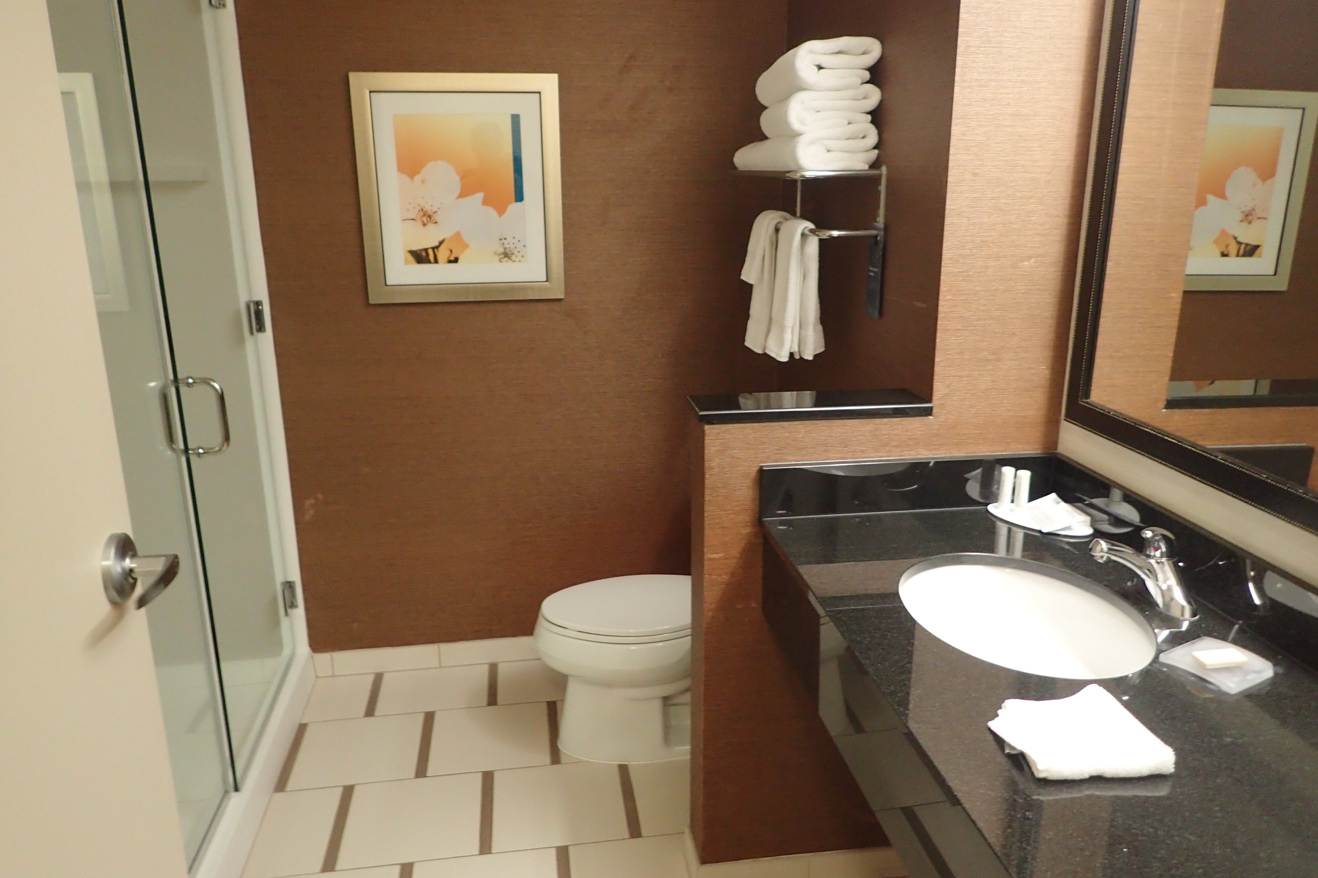 Fairfield Inn & Suites Springfield Northampton Amherst-浴室