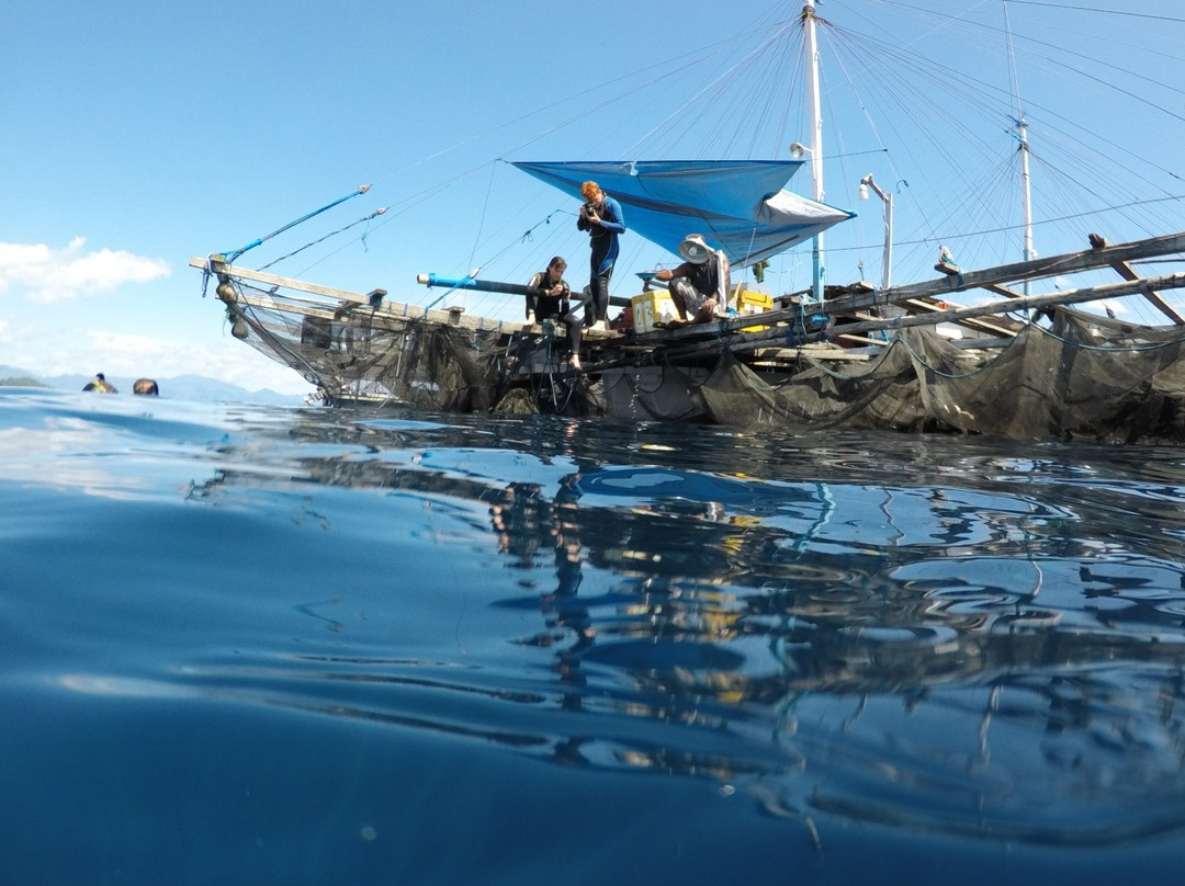 Cenderawasih Bay National Park-Nabire必去景点