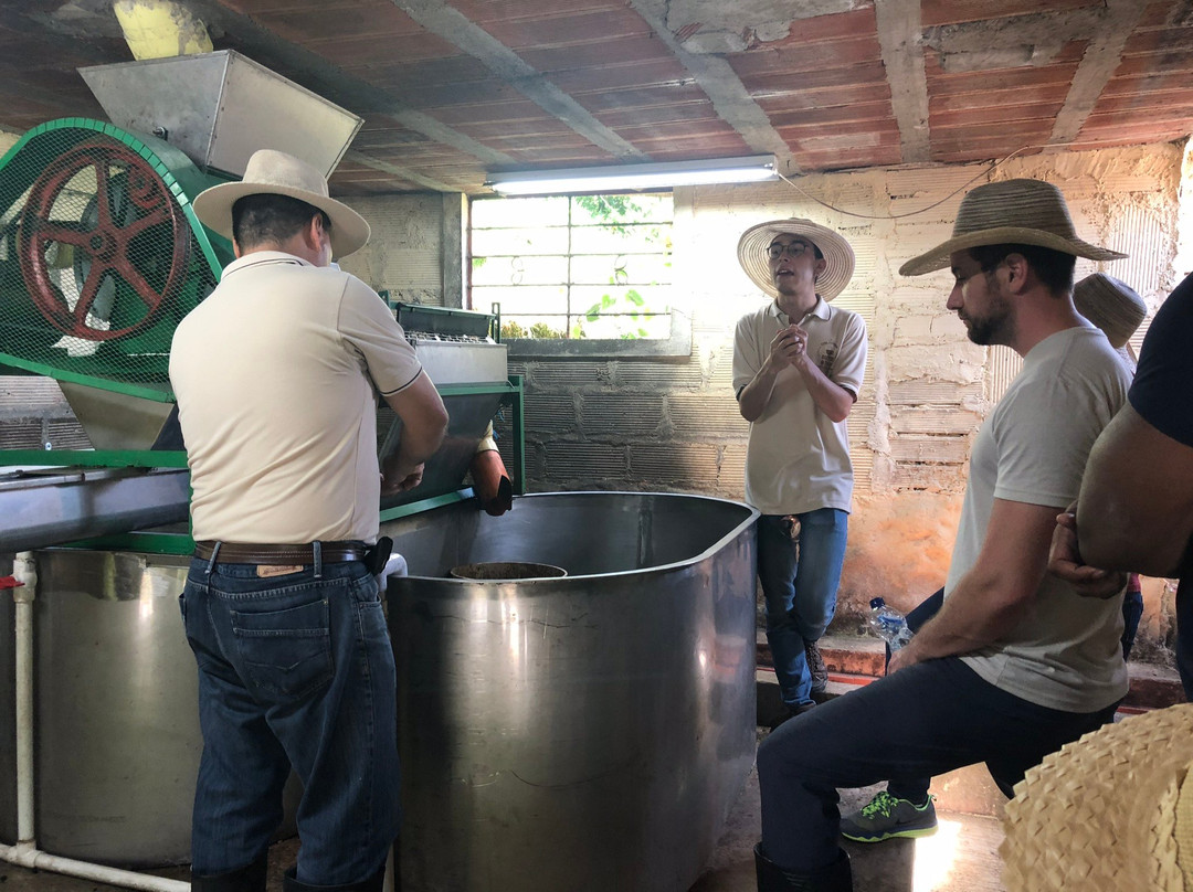 Colombia Coffee Tour-麦德林必去景点