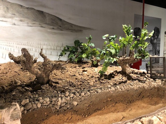 Museo del Vino Hacienda del Carche - Casa de la Ermita-Jumilla必去景点