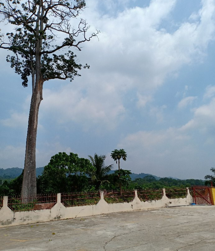 Tokong Chong Wah Jerantut景点图片
