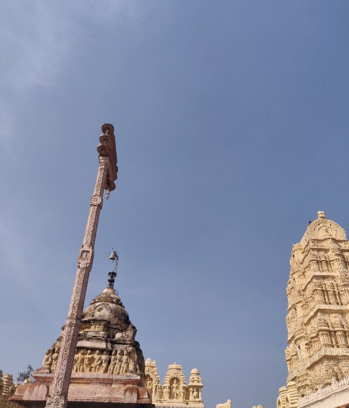 Lakshmi the Elephant景点图片