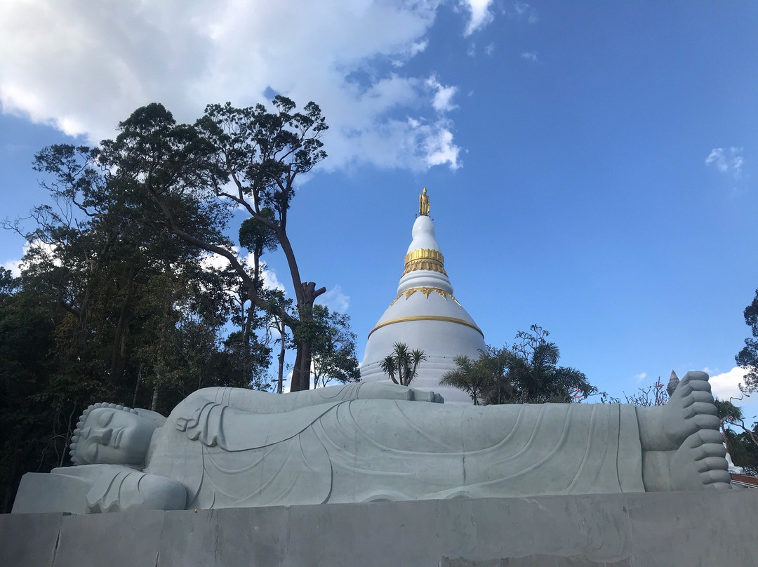 Wat Pa Phu Pha Sung景点图片