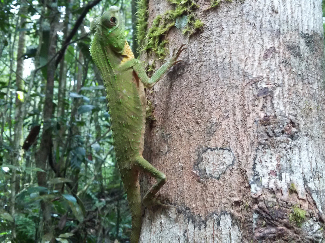 Day Tours Sri Lanka-班托塔必去景点