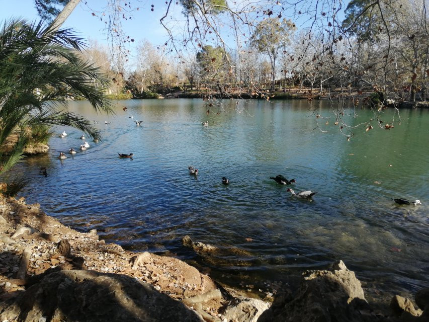 Albufera de Anna景点图片