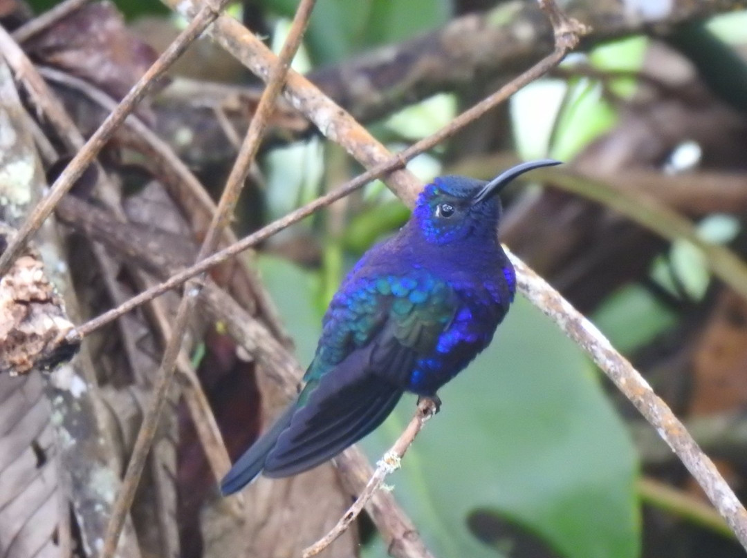 Hotel de Montana El Pelicano主图