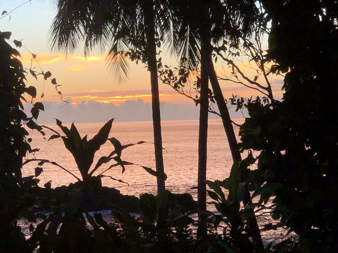 Hotel Amor de Mar主图