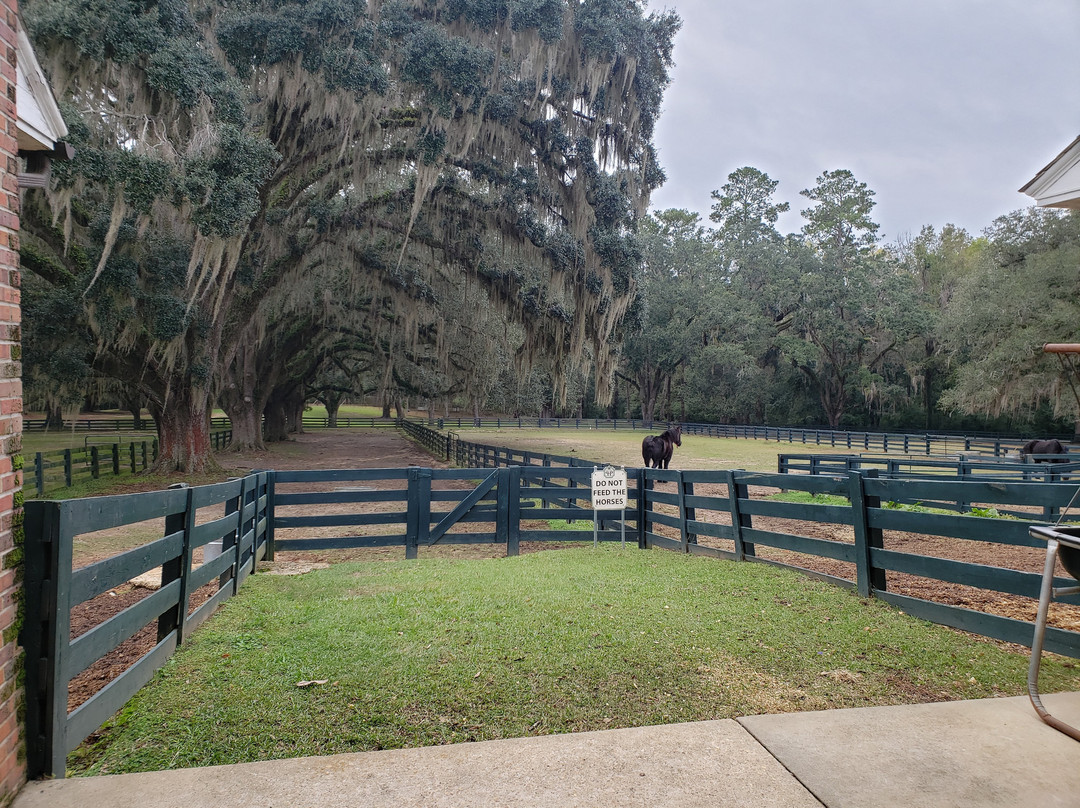 Pebble Hill Plantation-Thomasville必去景点
