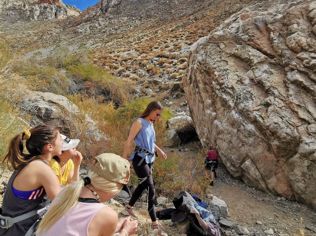 Elqui Adventures-Pisco Elqui必去景点