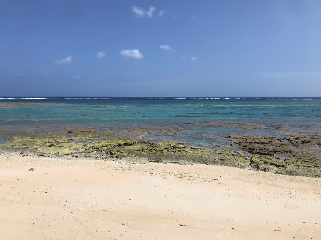 Aguni Island景点图片