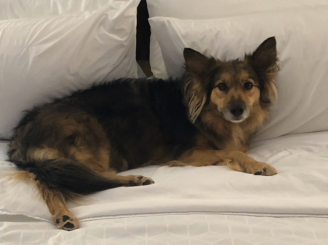 Tubac酒店住宿-Holiday Inn Express Nogales by IHG