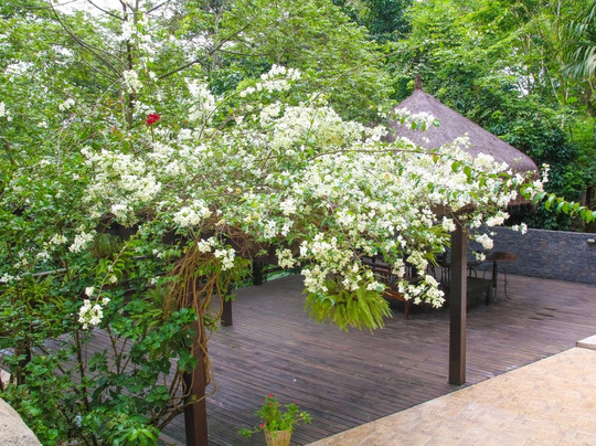 Casa Pedra Bonita主图