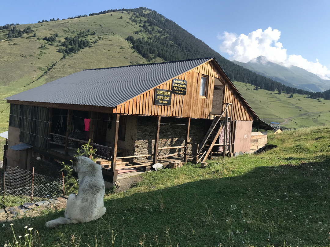 Shenako旅游攻略图片