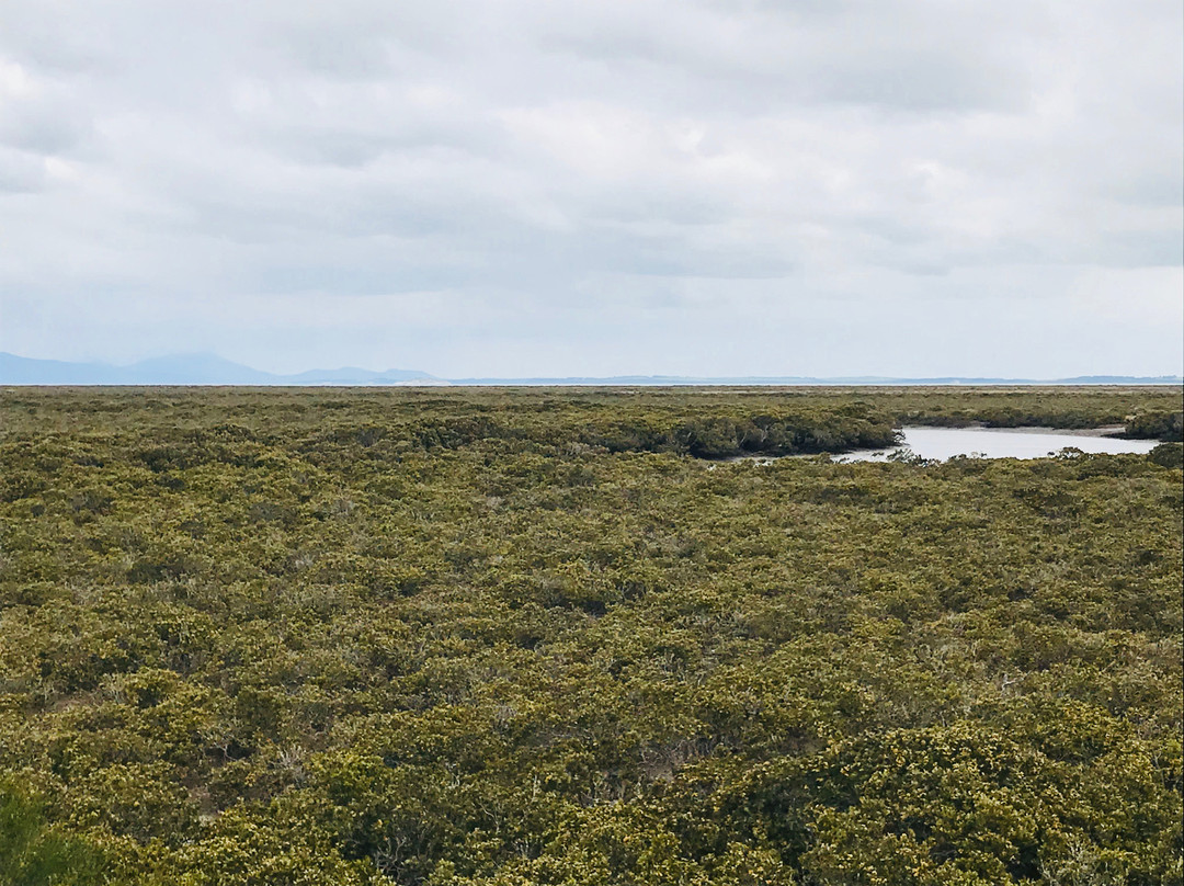 Port Franklin Public Purposes Reserve-Port Franklin必去景点