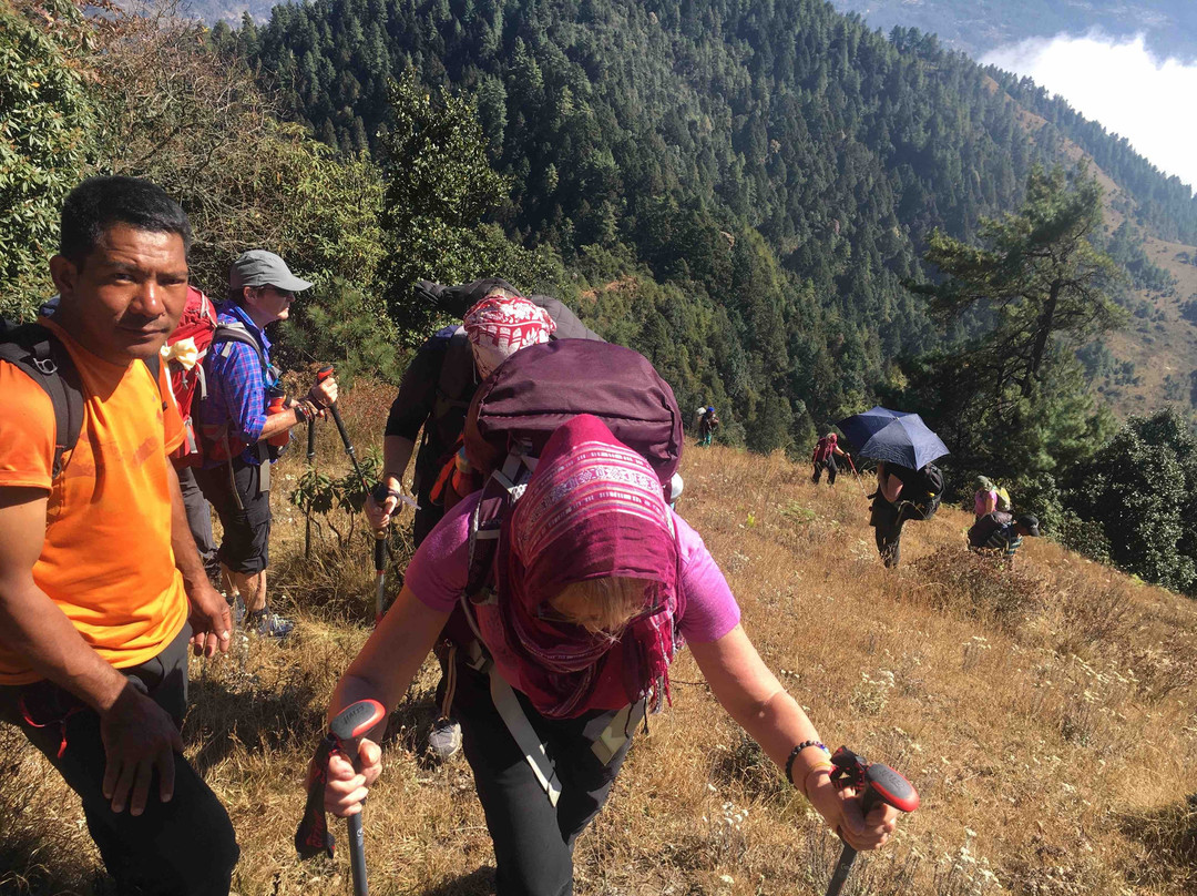 Friendship World Trek - Day Tours景点图片