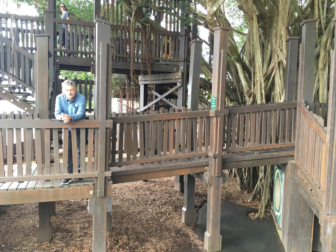 Figtree Playground-凯恩斯必去景点