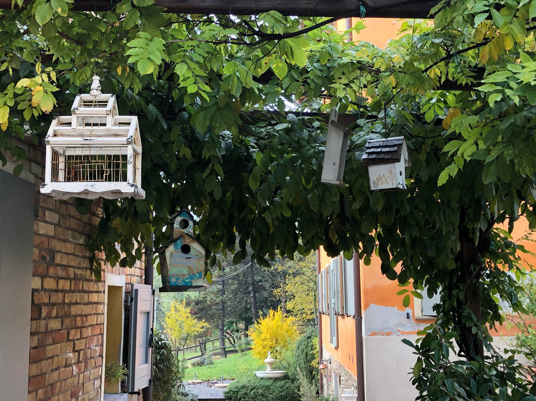 Podere Diamante主图