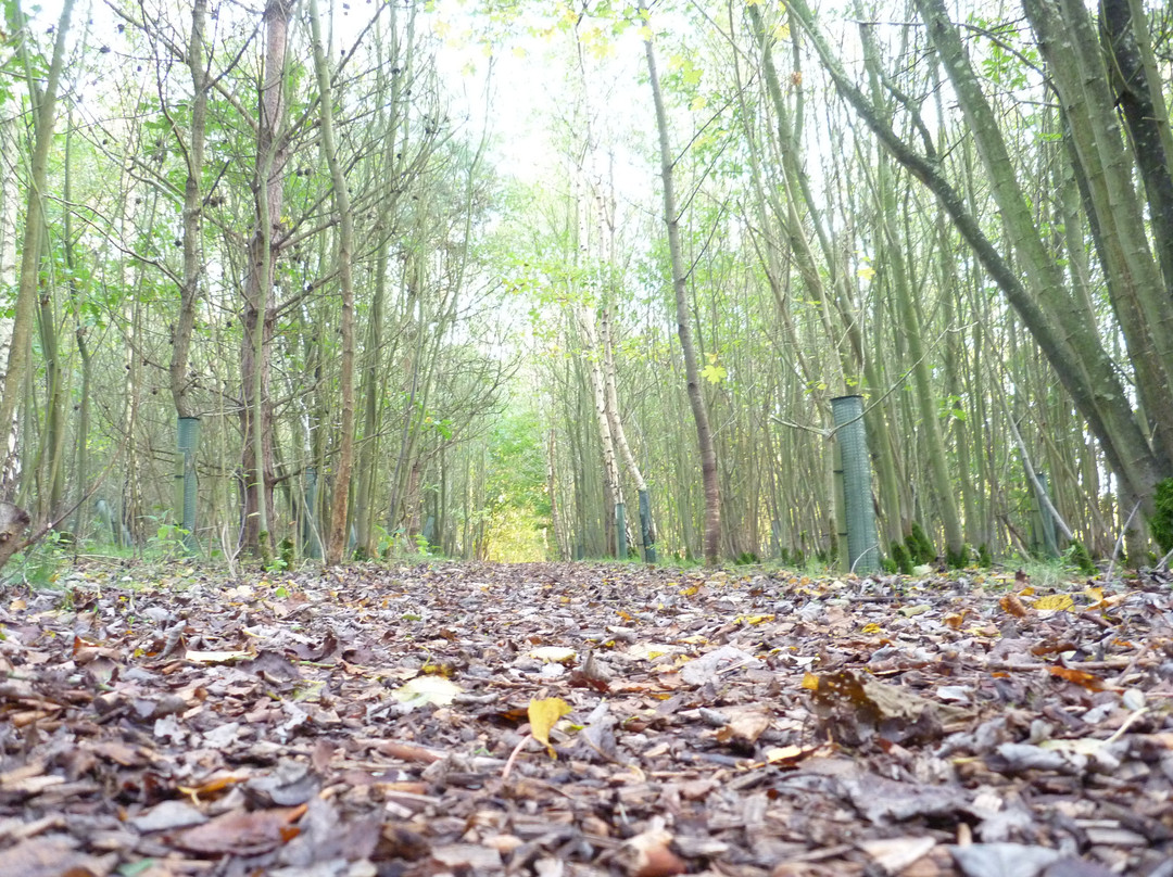 Roughton Park-Roughton必去景点