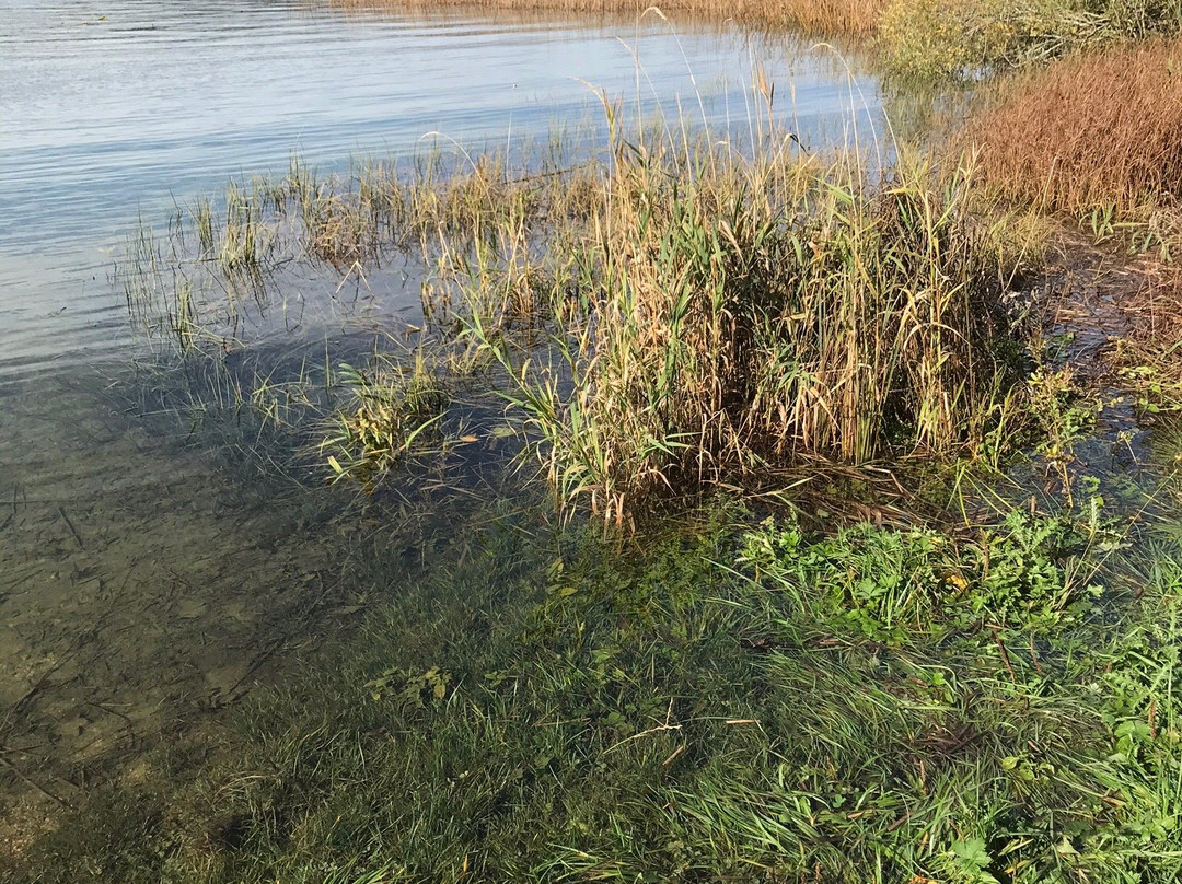 Lac de Saint-Point-Saint-Point-Lac必去景点