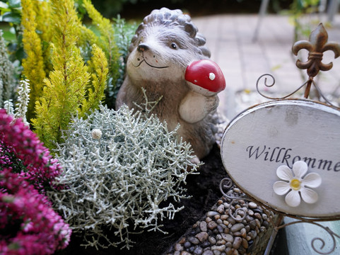 Pension Thermenland主图