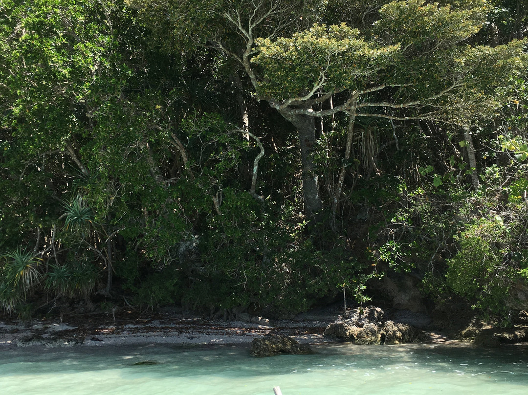 Upi Bay-Ile Des Pins必去景点