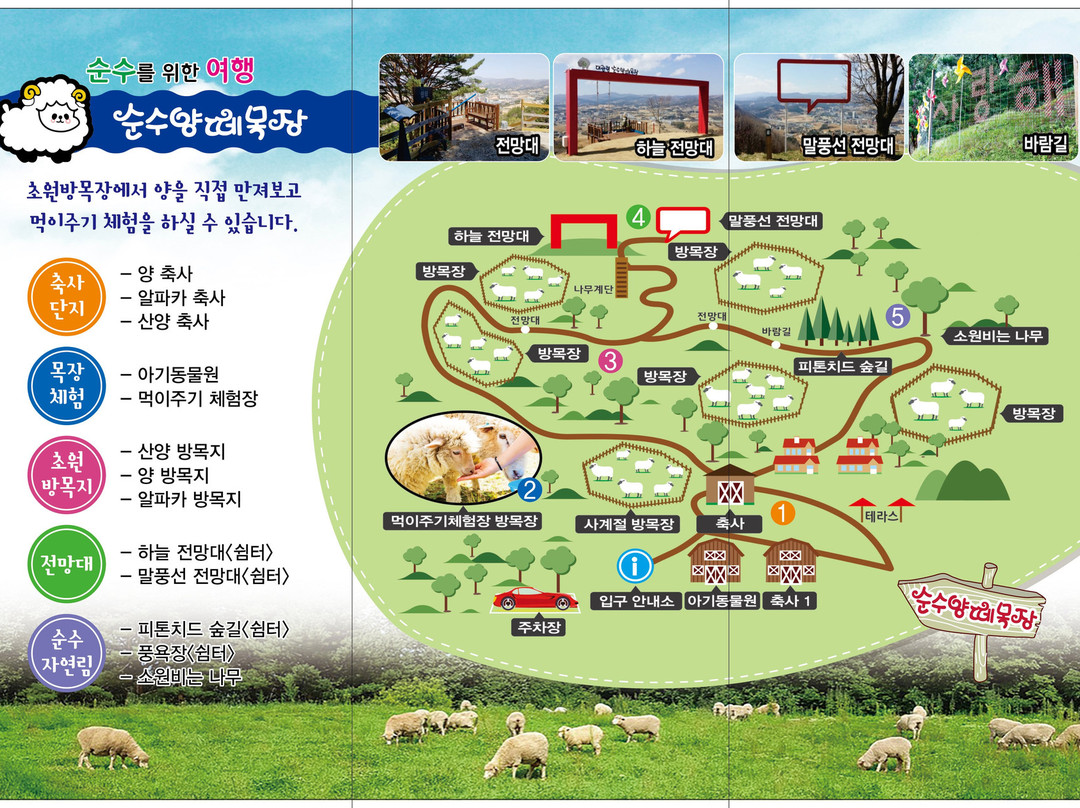 Daegwallyeong Sheep Ranch-平昌郡必去景点