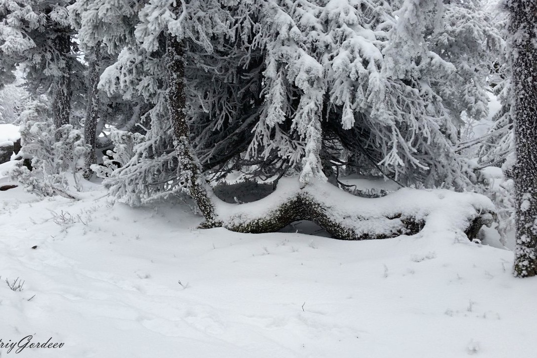 Kachkanar Mountain-Kachkanar必去景点