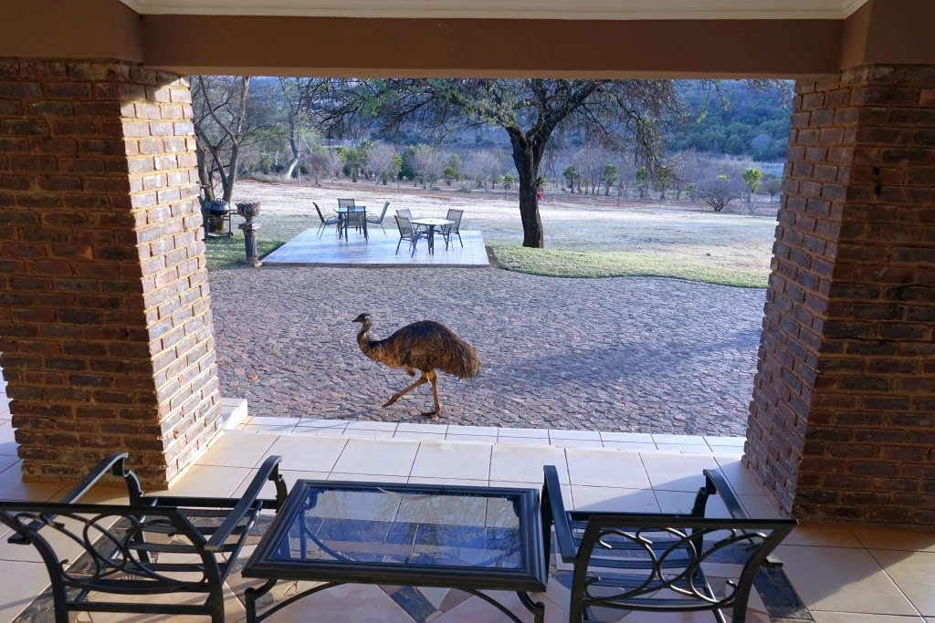 WoodRidge Palms Boutique Hotel主图