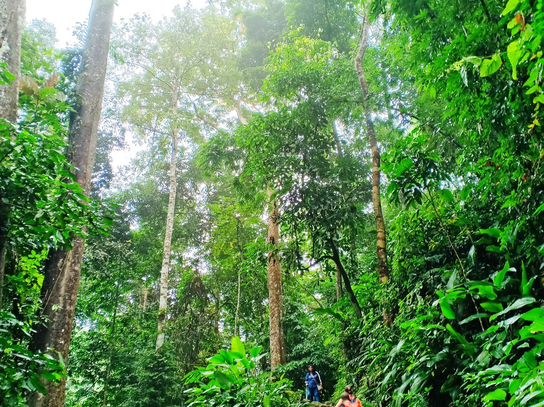 Khun Korn Waterfall-清莱必去景点