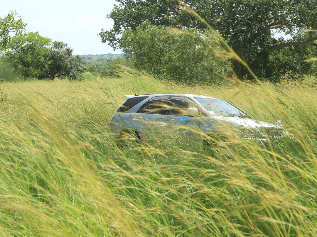 DARIUS TOURS-坎帕拉必去景点