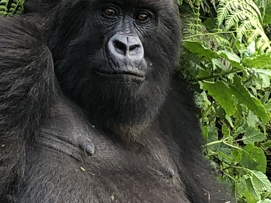 The Infinite Horizon-阿鲁沙必去景点