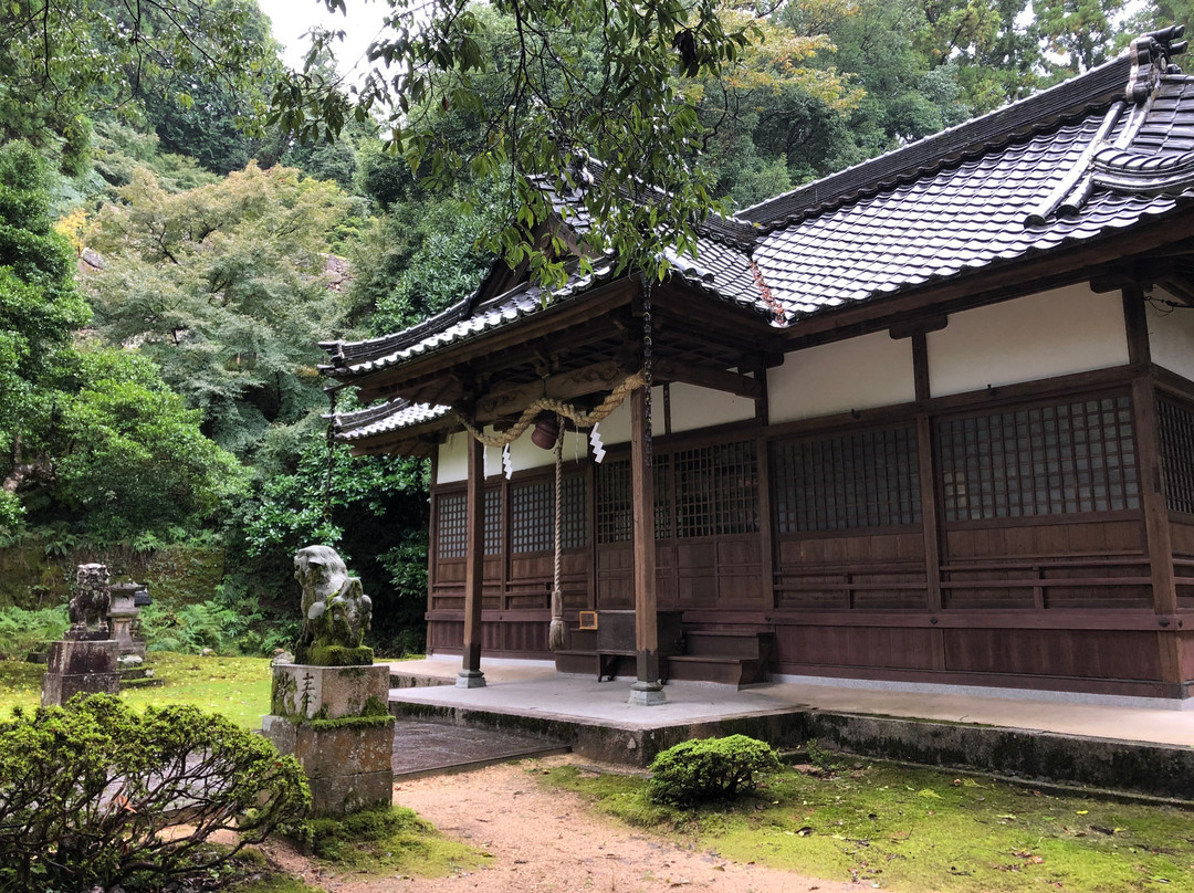 Morosugi Shrine-丰冈市必去景点