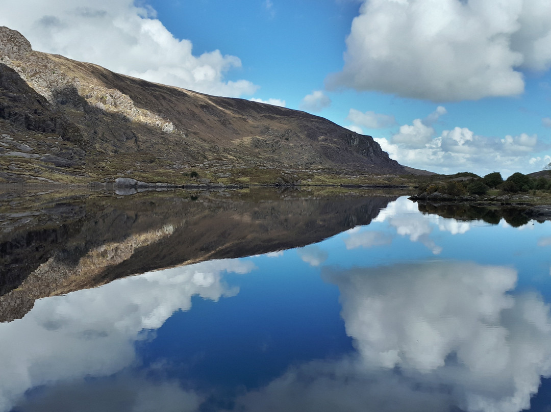 Kerry Taxi Tours景点图片