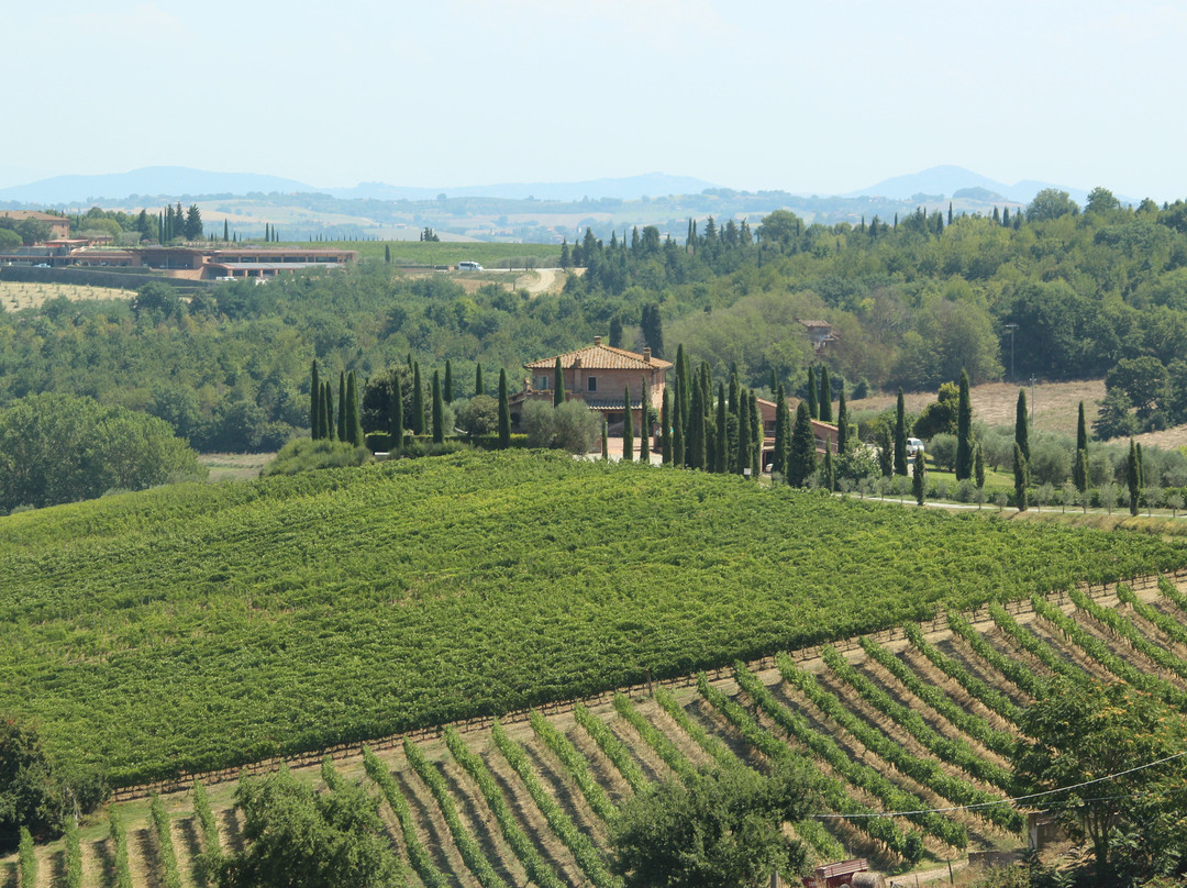 A Day in Tuscany by Serena Baglioni-蒙特普尔恰诺必去景点