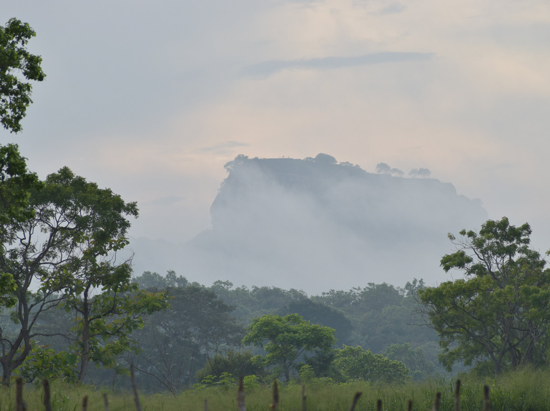 迦叶狮石酒店主图