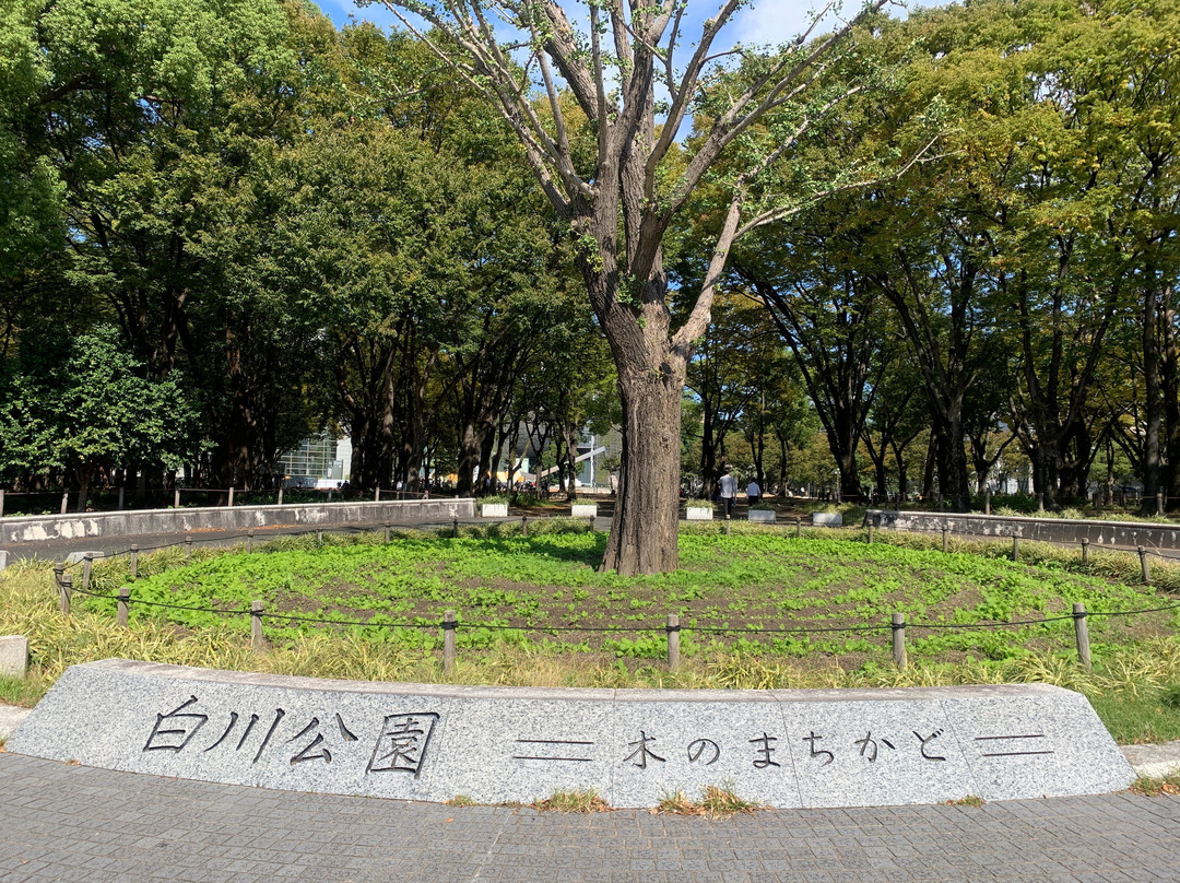 Shirakawa Park景点图片