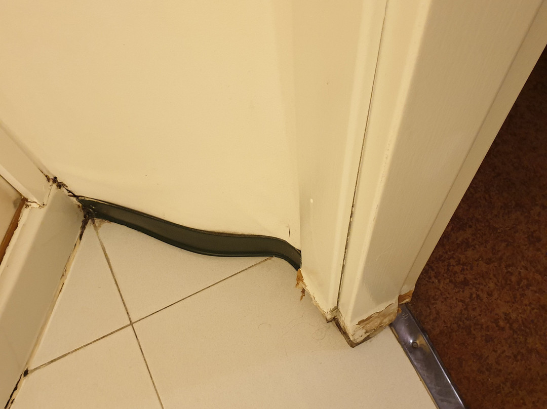 Hotel Iris Guadalajara主图