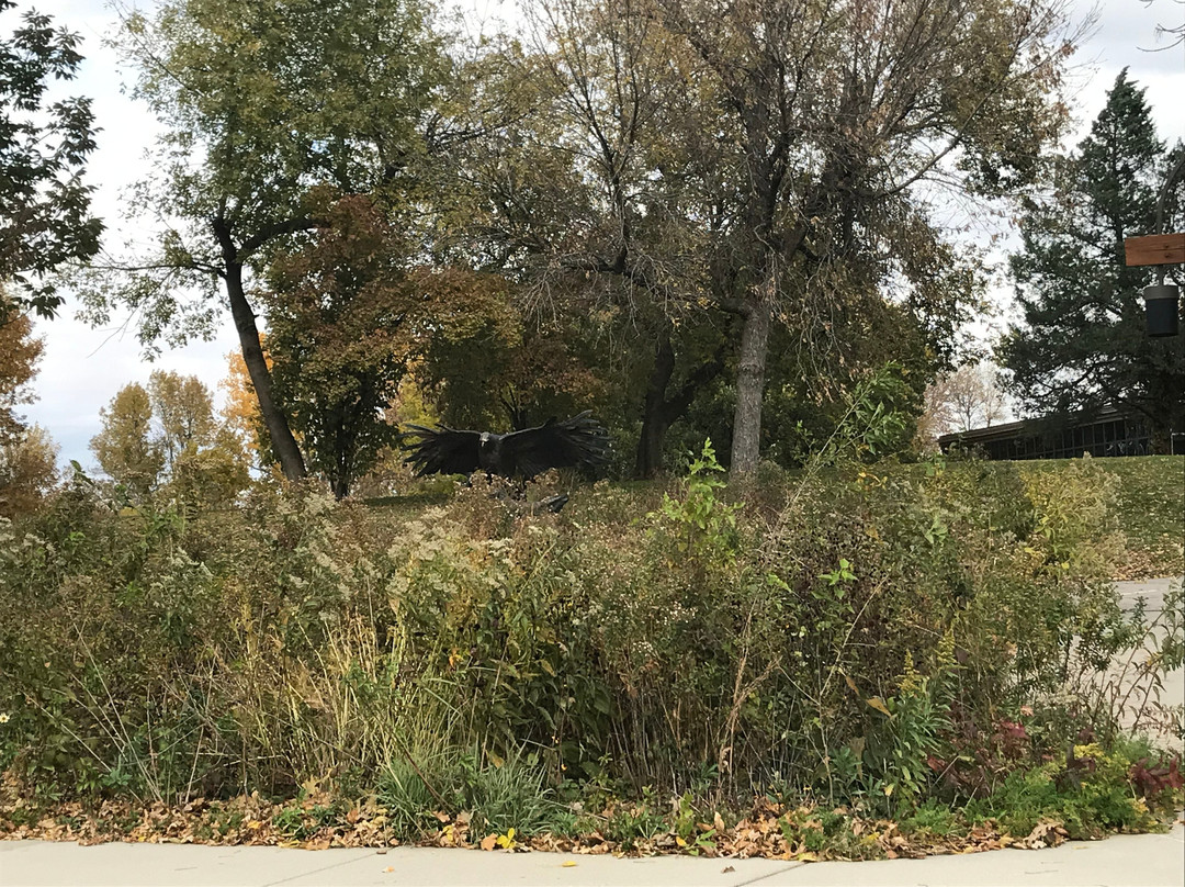 Desoto National Wildlife Refuge景点图片