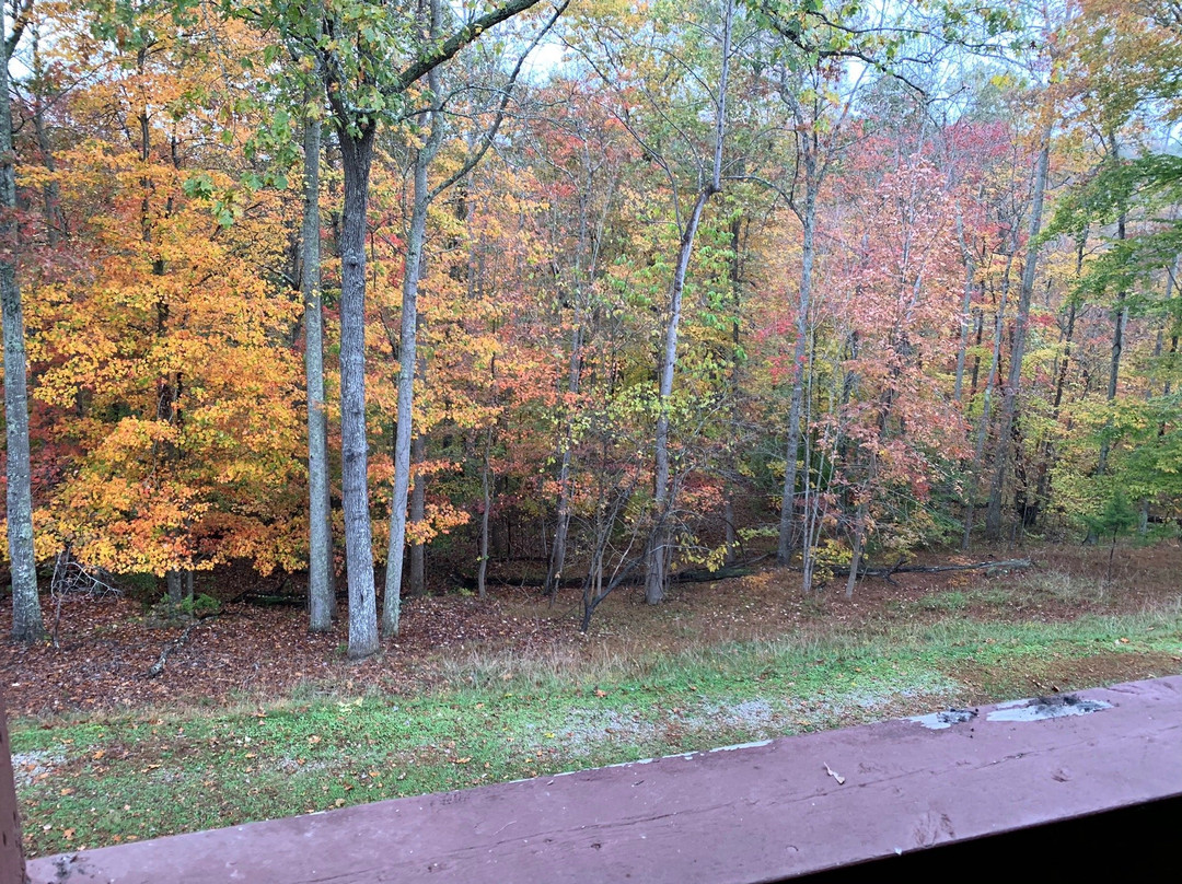 Carter Caves State Resort Park - Lodging主图