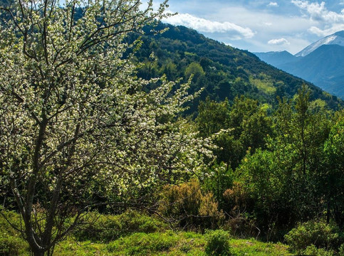 SAFARI TOUR IN EVIA ISLAND-Eretria必去景点