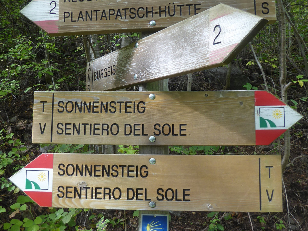 Sentiero Tematico Sonnensteig景点图片