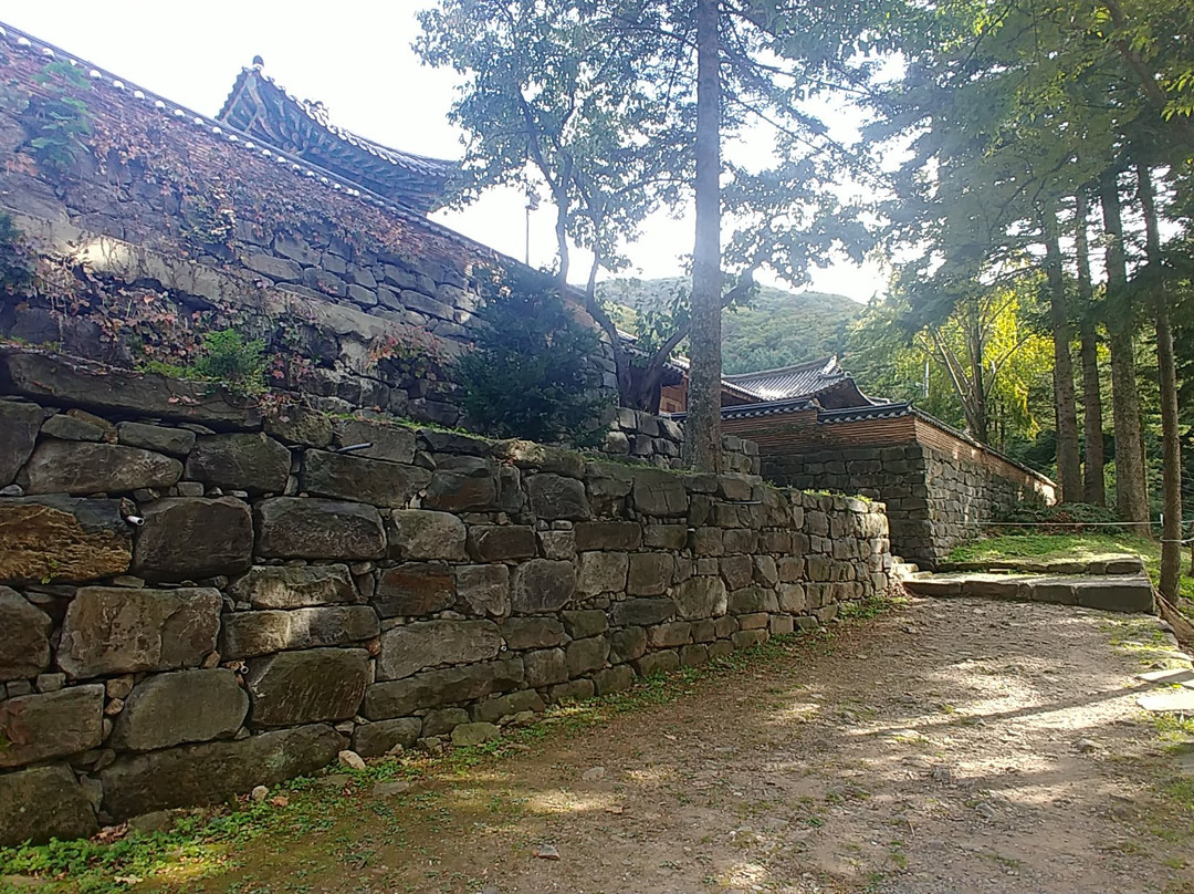Bogwangsa Temple景点图片