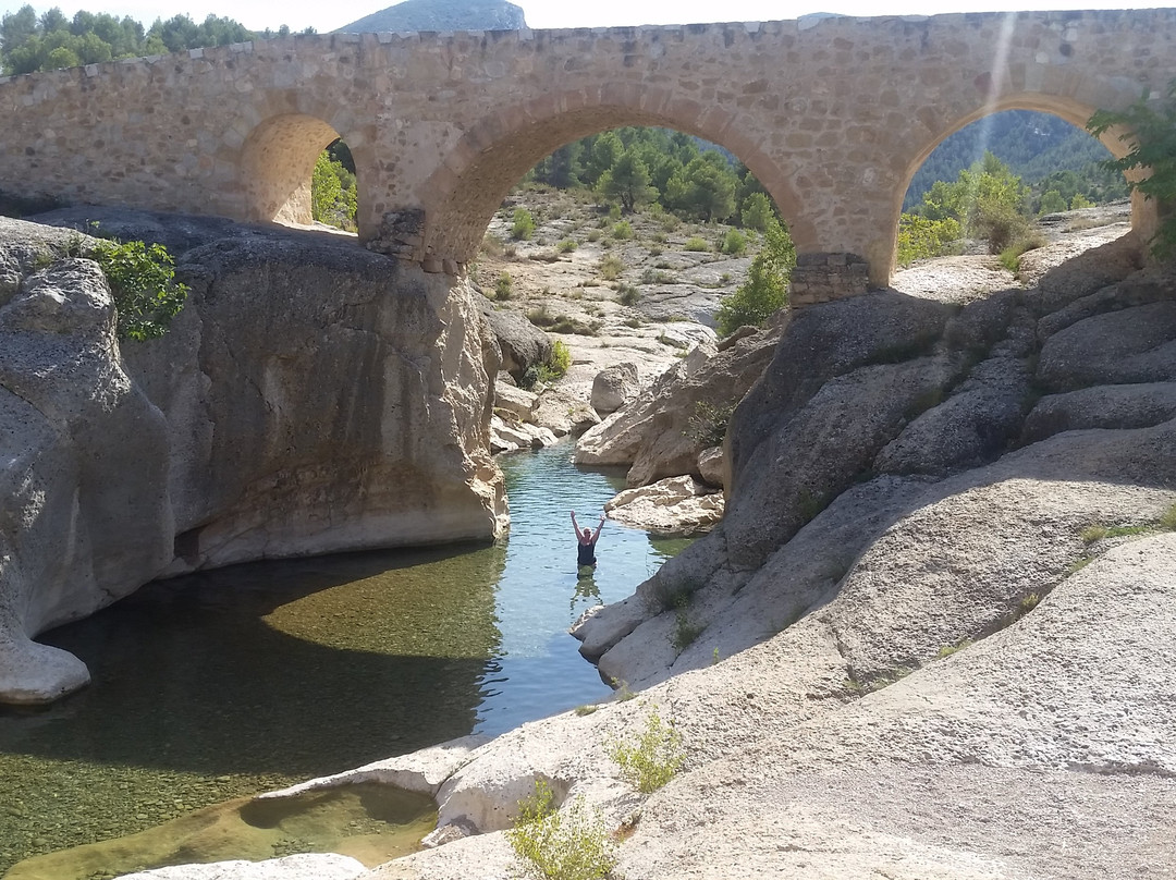 Physionatural Wellness Center主图