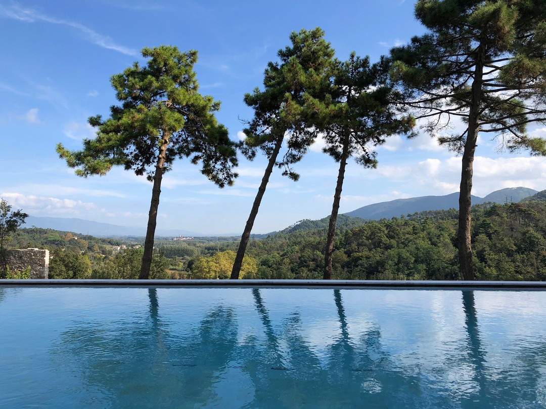Hotel Villa Casanova主图