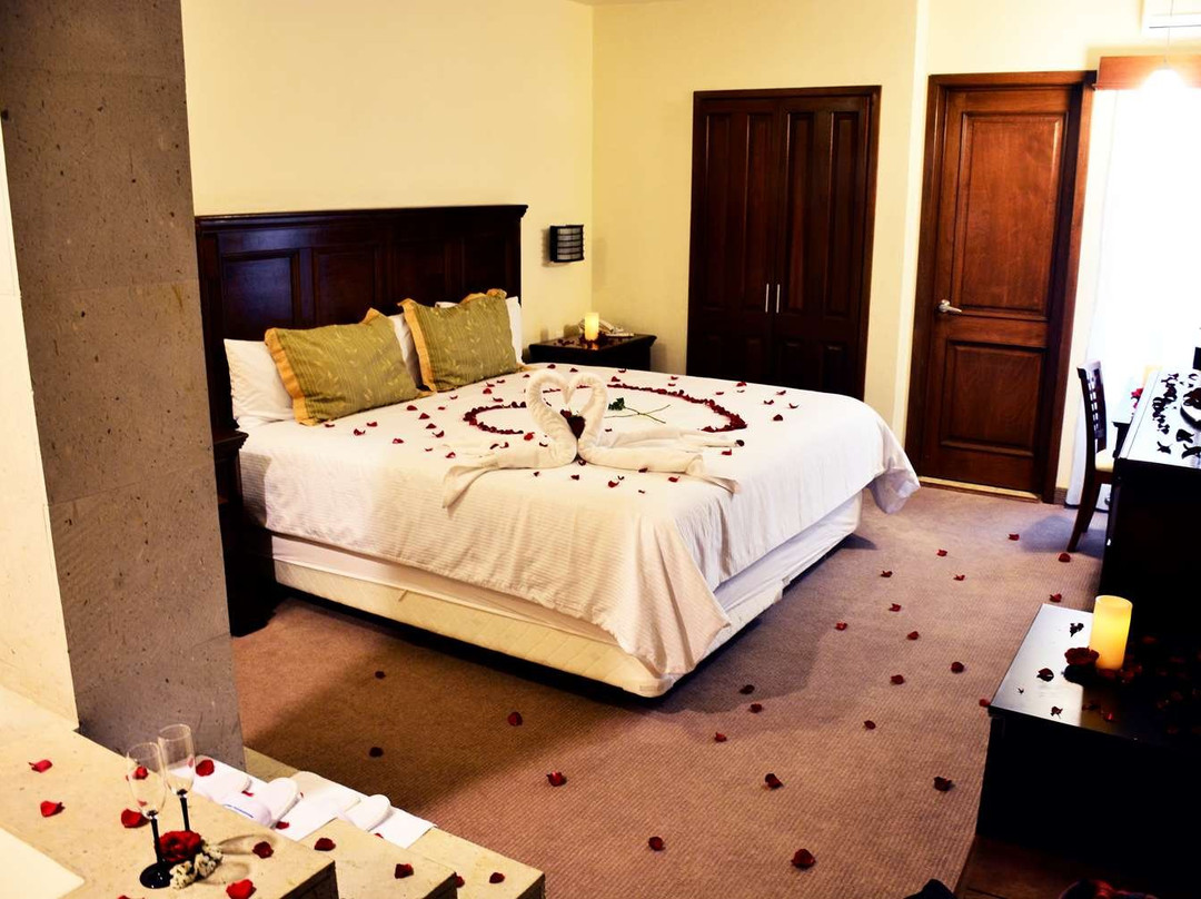 Hotel San Carlos Tequisquiapan主图